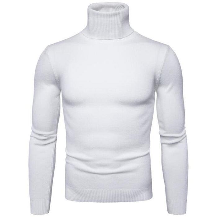 Pull Col Roulé Maille Fine – Homme